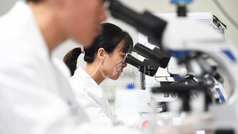 CRS优化误区：揭秘用户体验提升的常见陷阱