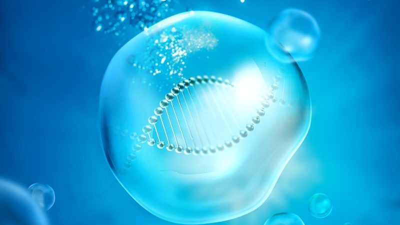 生物科技定制样品测试流程：揭秘精准研发的关键步骤
