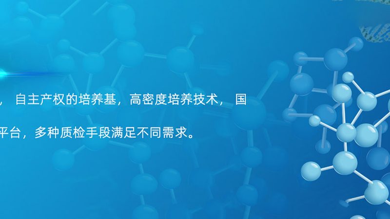 抗体亲和力测定：实验方案解析与价格考量