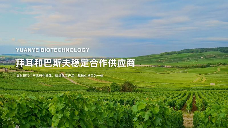 成都CDMO技术平台：揭秘生物医药研发的幕后英雄