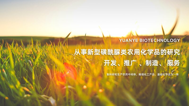CRO平台价格对比：揭秘差异背后的关键因素